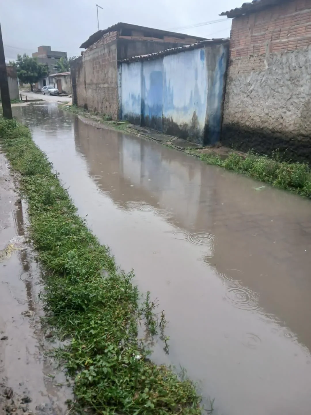 Moradores denunciam abandono da Rua Câmara Cascudo e cobram solução para alagamentos em Parnamirim